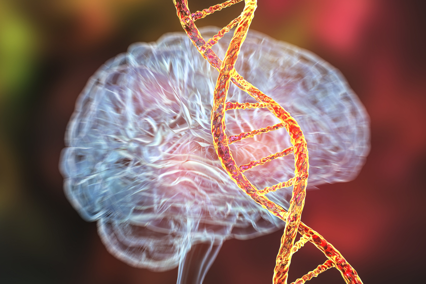 Exploring The Genetic Basis Of Dementia