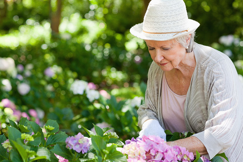 How Gardening Can Be A Fun Physical Activity For Seniors